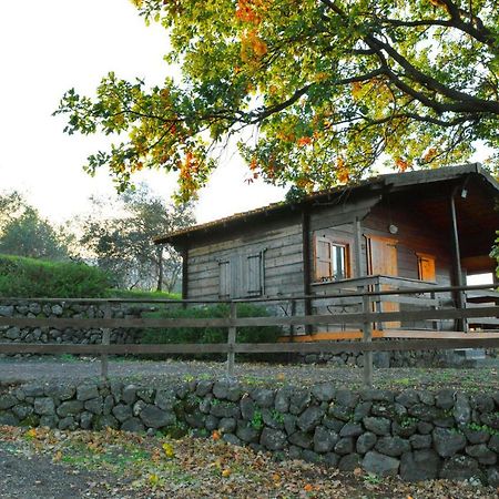 Agriturismo Kikajon لينغواغلوسا المظهر الخارجي الصورة