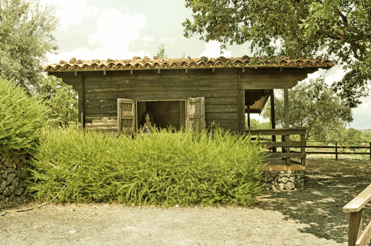 Agriturismo Kikajon لينغواغلوسا المظهر الخارجي الصورة