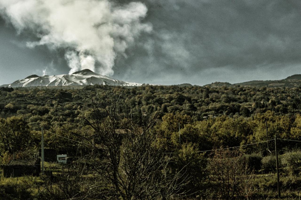 Agriturismo Kikajon لينغواغلوسا المظهر الخارجي الصورة