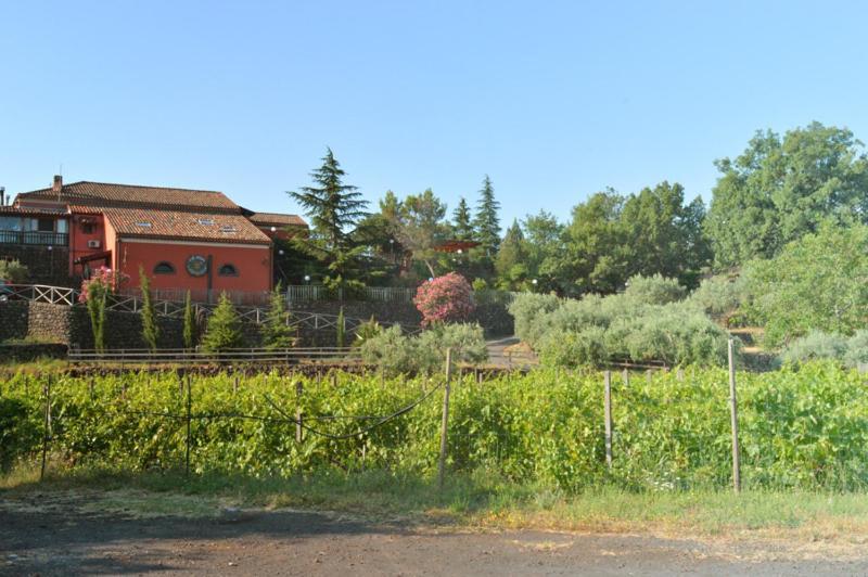 Agriturismo Kikajon لينغواغلوسا المظهر الخارجي الصورة