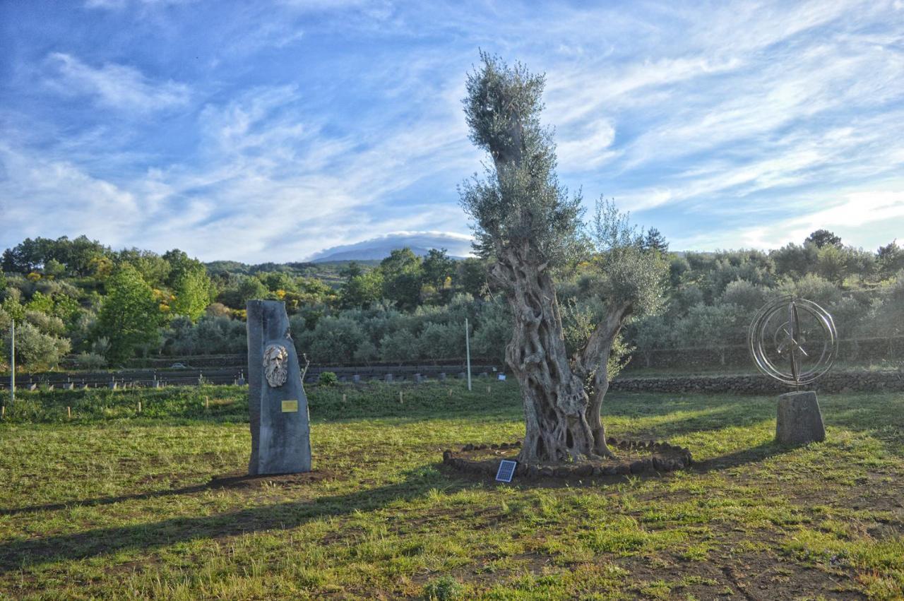 Agriturismo Kikajon لينغواغلوسا المظهر الخارجي الصورة