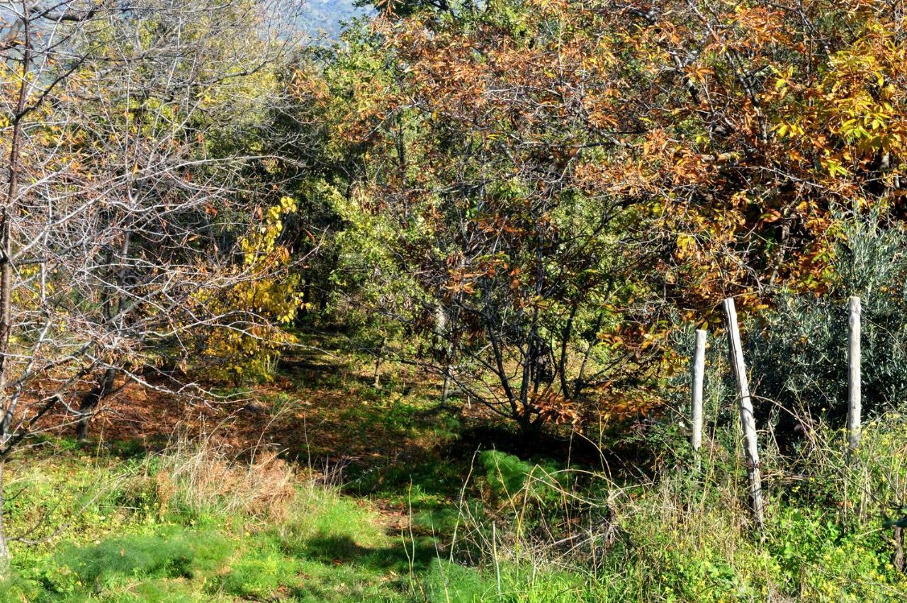 Agriturismo Kikajon لينغواغلوسا المظهر الخارجي الصورة