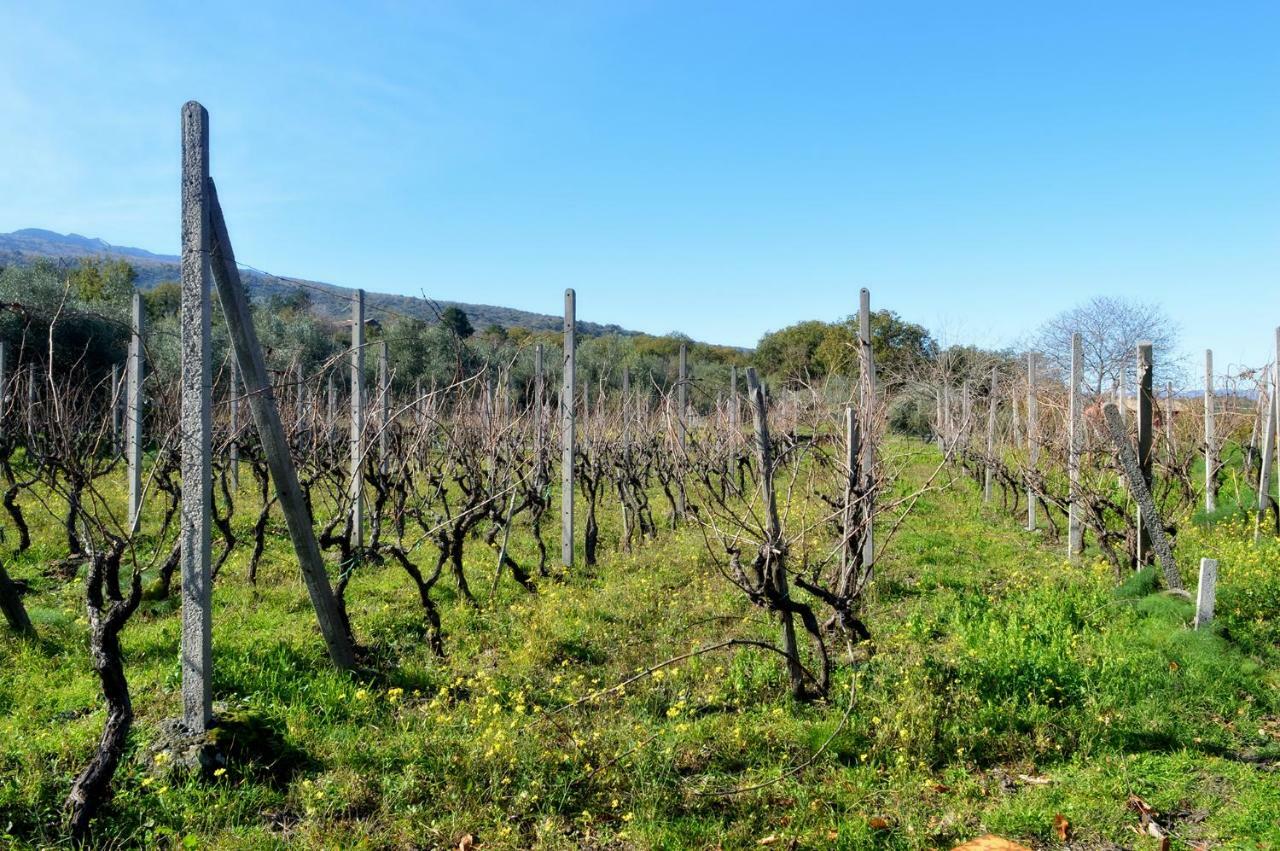Agriturismo Kikajon لينغواغلوسا المظهر الخارجي الصورة