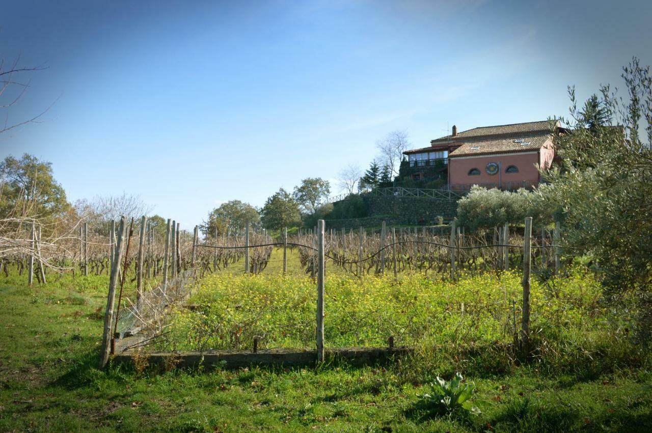 Agriturismo Kikajon لينغواغلوسا المظهر الخارجي الصورة
