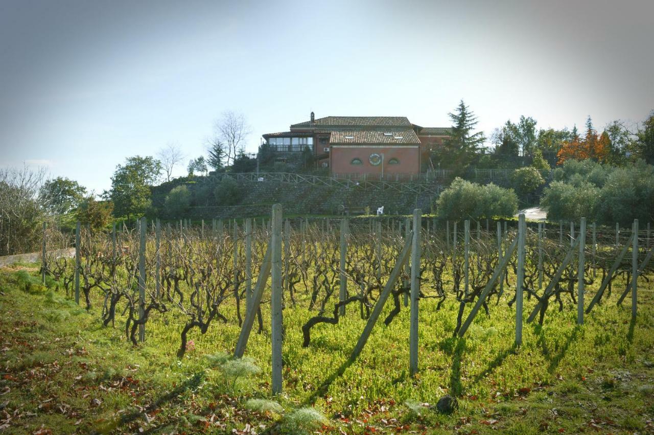 Agriturismo Kikajon لينغواغلوسا المظهر الخارجي الصورة